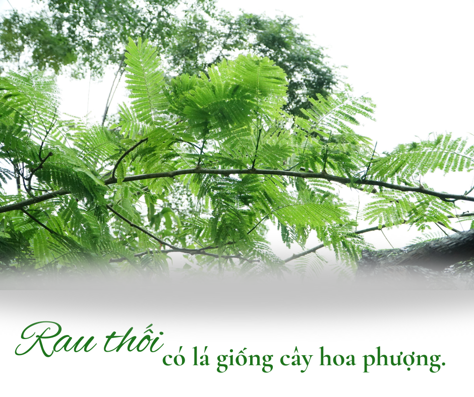 3_20230724_164033_0002.png
