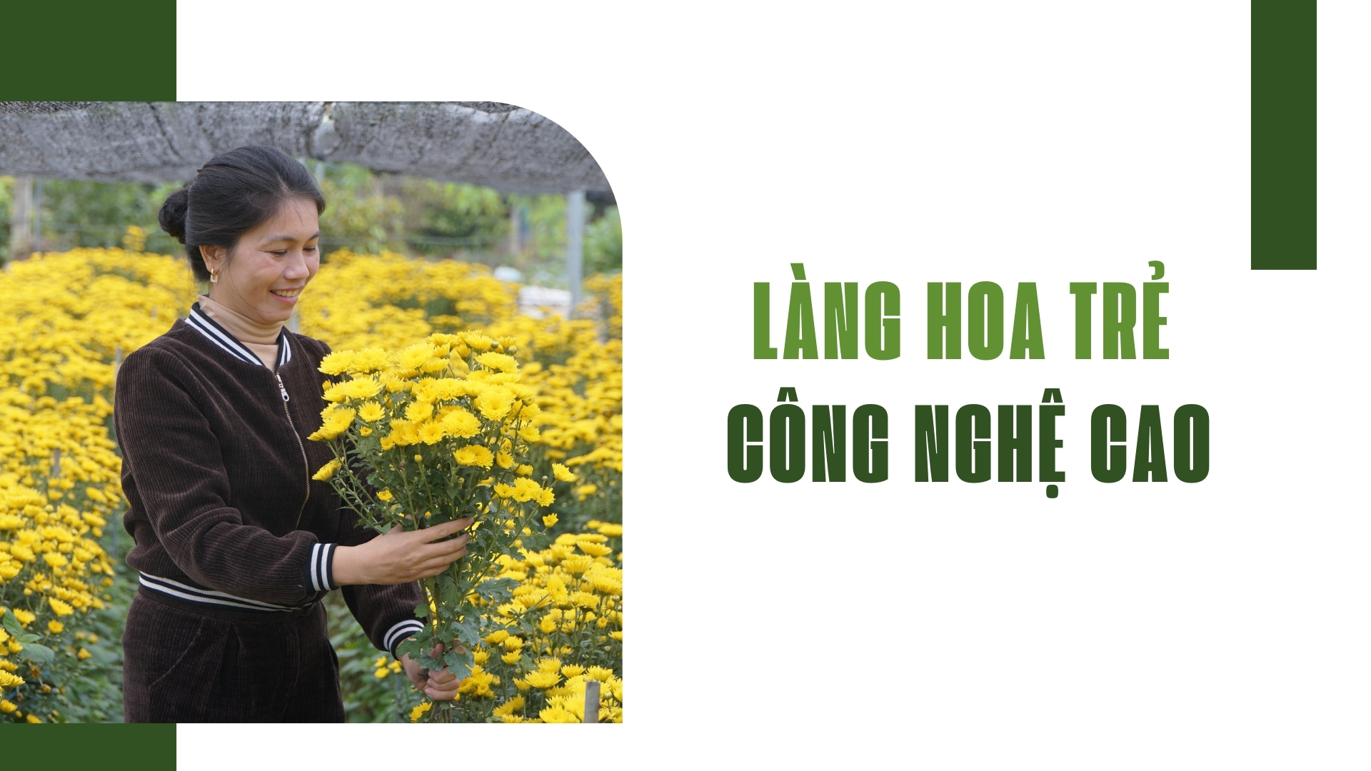 “Làng hoa trẻ” công nghệ cao