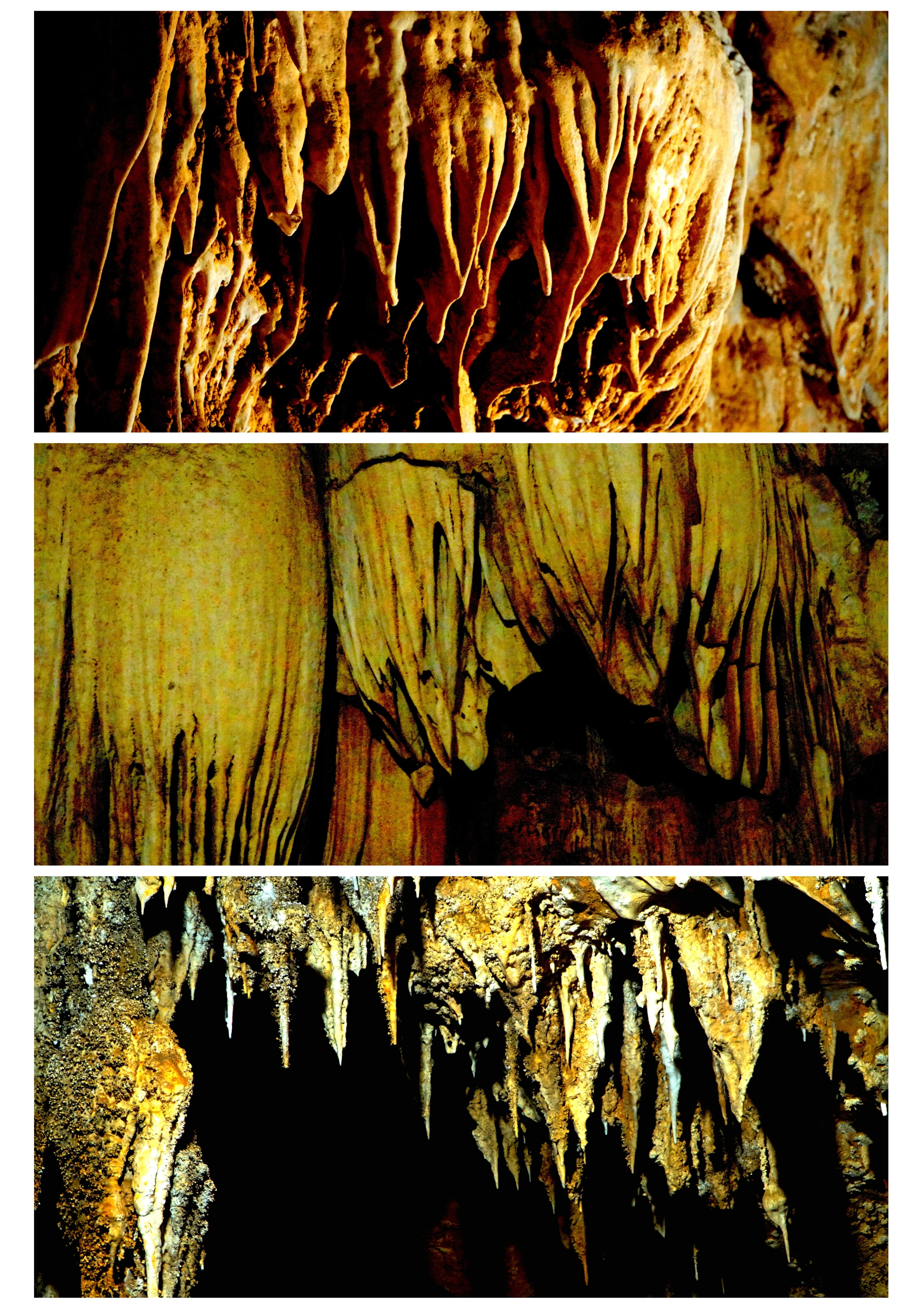 Nội dung_20240714_110326_0000.jpg