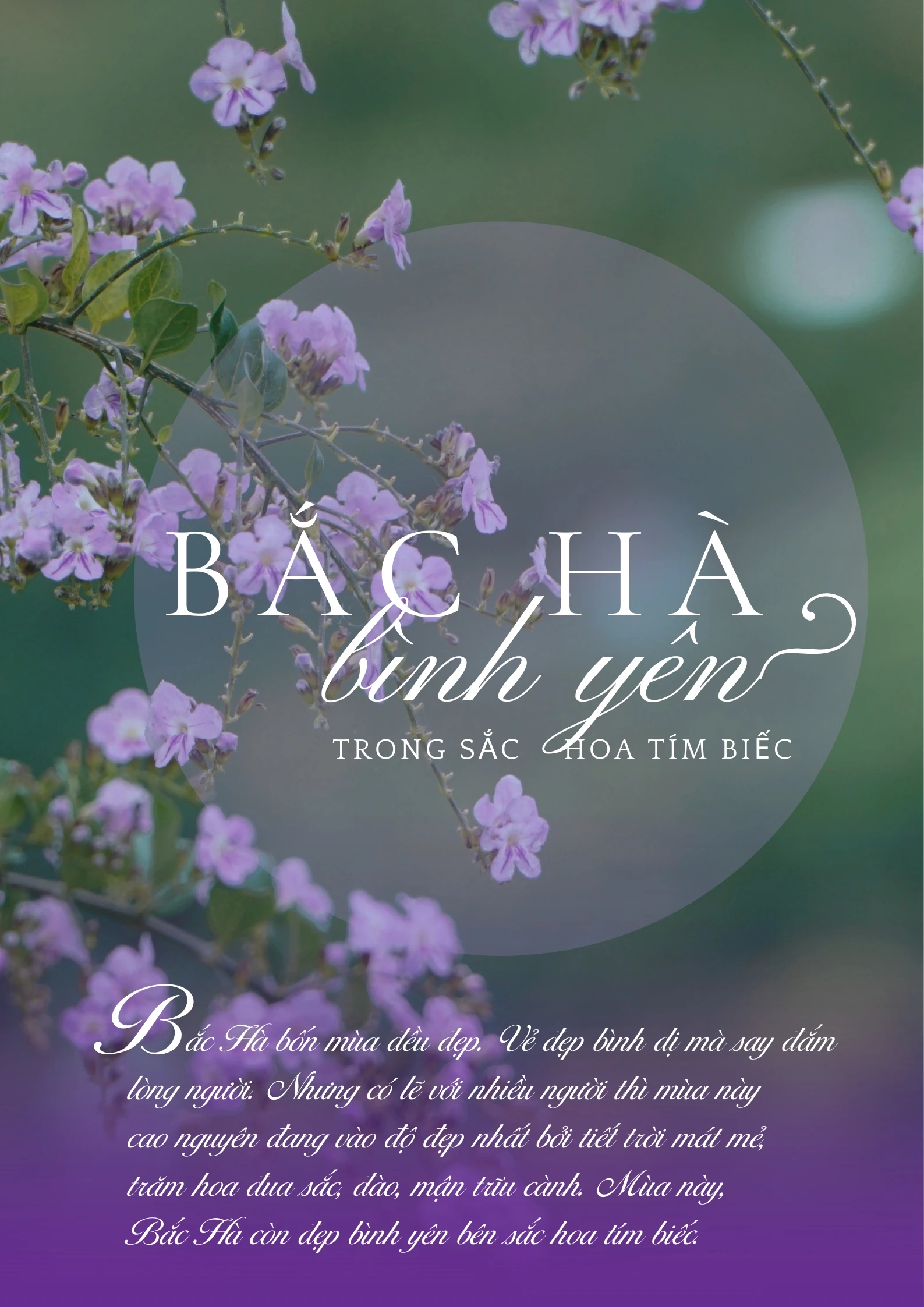 Bắc hà_20240424_200427_0000.jpg