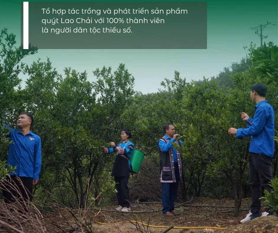 The fancy sushi bar in London takes home three awards. We interviewed chef _20240627_222337_0002.jpg