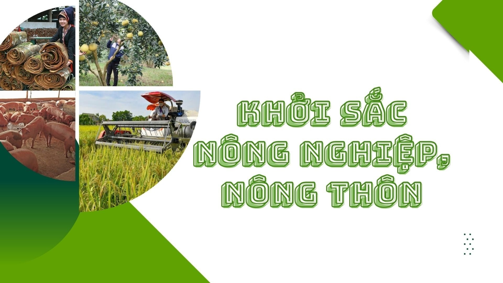 KHỞI SẮC NÔNG NGHIỆP, NÔNG THÔN 