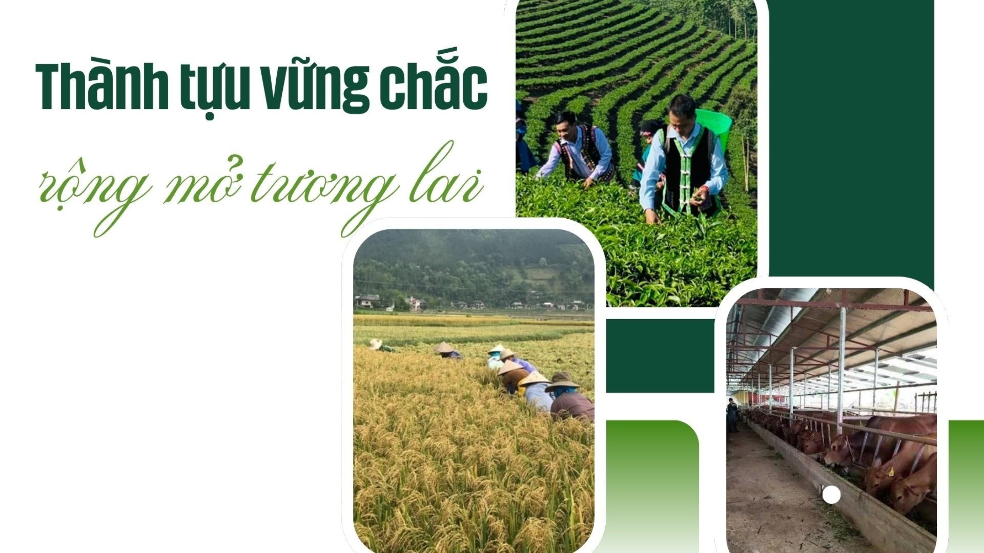 Thành tựu vững chắc - rộng mở tương lai 