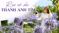 Rực rỡ sắc thanh anh tím