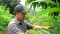 Biến đất cằn thành vườn cây bạc tỷ