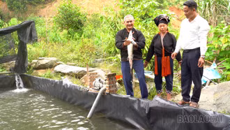 Phong Dụ Thượng phát triển kinh tế từ lợi thế địa phương