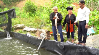 Phong Dụ Thượng phát triển kinh tế từ lợi thế địa phương