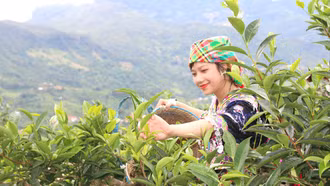 Sản xuất nông nghiệp phát huy lợi thế cạnh tranh