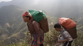 Chuyển đổi cây trồng trên đất dốc - hướng đi giảm nghèo bền vững