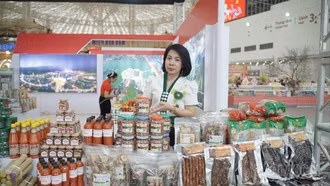 Lào Cai đạt doanh thu gần 2 tỷ đồng tại Hội chợ Mùa xuân 2026