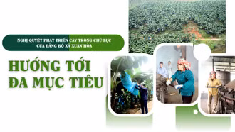Hướng tới đa mục tiêu