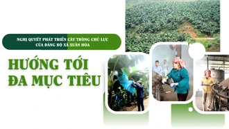 Hướng tới đa mục tiêu