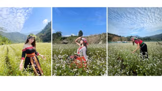 Từ đất lúa đến mùa hoa hy vọng