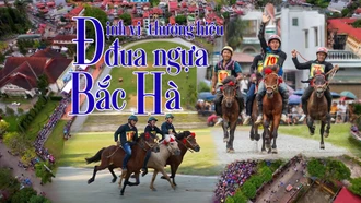 Định vị thương hiệu đua ngựa Bắc Hà