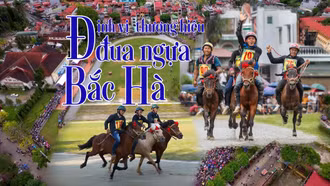 Định vị thương hiệu đua ngựa Bắc Hà