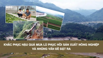 Khắc phục hậu quả mưa lũ phục hồi sản xuất nông nghiệp và những vấn đề đặt ra