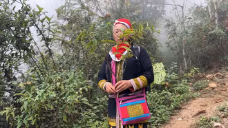 Tìm hiểu một số loại thuốc từ lá cây của người Dao đỏ