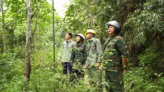Tăng cường phòng cháy, chữa cháy rừng từ cơ sở giao khoán