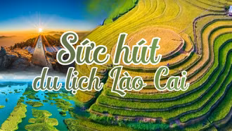 Sức hút du lịch Lào Cai
