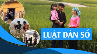 INFOGRAPHIC: Luật Dân số