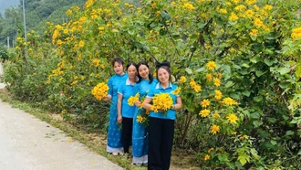 Đường hoa phụ nữ góp phần làm đẹp vùng cao xã Nậm Xé