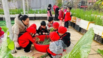 Vườn ươm của những mầm xanh