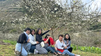 Khi mùa hoa quả trở thành sản phẩm du lịch