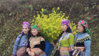 Lào Cai đưa du lịch xanh thành xu hướng chủ đạo, hút khách