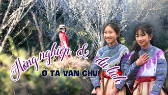 Nông nghiệp kết hợp du lịch ở Tả Van Chư