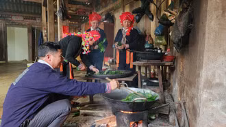 Hái chè cổ thụ trên núi Con Rùa