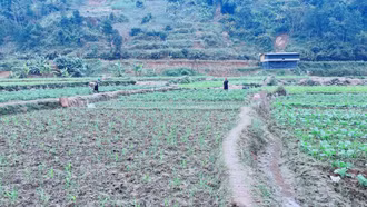 Xã Hạnh Phúc nhiều chỉ tiêu đạt và vượt kế hoạch năm 2025