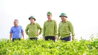 Phát triển nông nghiệp hàng hóa gắn với chuỗi giá trị - hướng đi bền vững của Mường Khương