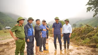 Phó Chủ tịch Thường trực UBND tỉnh Nguyễn Thế Phước kiểm tra, chỉ đạo khắc phục hậu quả thiên tai