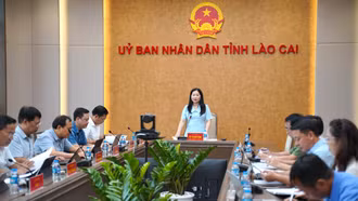 Đồng chí Vũ Thị Hiền Hạnh- Phó chủ tịch UBND tỉnh chủ trì buổi làm việc