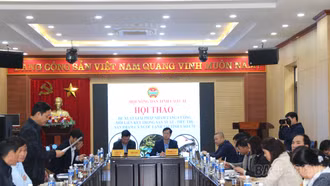 Xây dựng chuỗi liên kết sản xuất và tiêu thụ sản phẩm cá nước lạnh trên địa bàn tỉnh Lào Cai