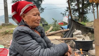 Mưu sinh ngày giáp Tết