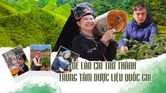 Để Lào Cai trở thành trung tâm dược liệu quốc gia