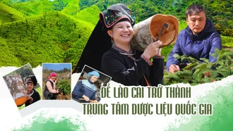 Để Lào Cai trở thành trung tâm dược liệu quốc gia