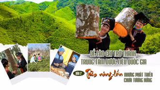 Bài 2: Tiềm năng lớn nhưng phát triển chưa tương xứng