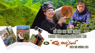 Bài 1: “Kho vàng xanh” trên núi Hoàng Liên