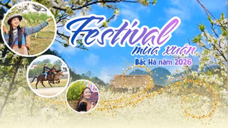 INFOGRAPHIC: Festival Mùa Xuân Bắc Hà 2026