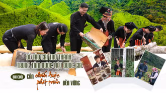 Bài cuối: Cần chiến lược phát triển bền vững