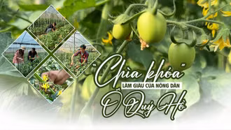 “Chìa khóa” làm giàu của nông dân Ô Quý Hồ