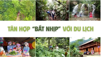 Tân Hợp “bắt nhịp” với du lịch