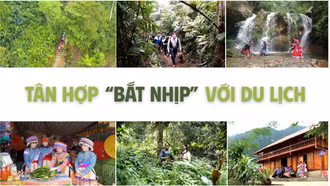Tân Hợp “bắt nhịp” với du lịch