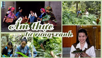 Ẩm thực từ rừng xanh