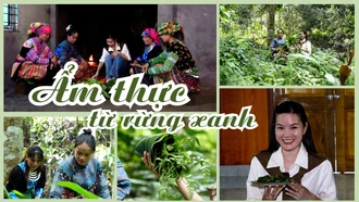 Ẩm thực từ rừng xanh