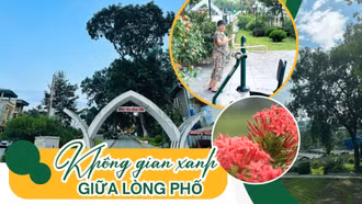 Không gian xanh giữa lòng phố