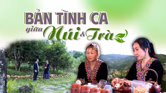 Bản tình ca giữa núi và trà