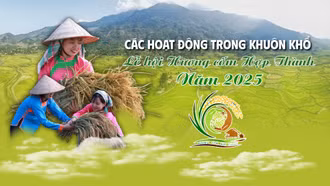 INFOGRAPHIC: Các hoạt động trong khuôn khổ Lễ hội Hương cốm Hợp Thành